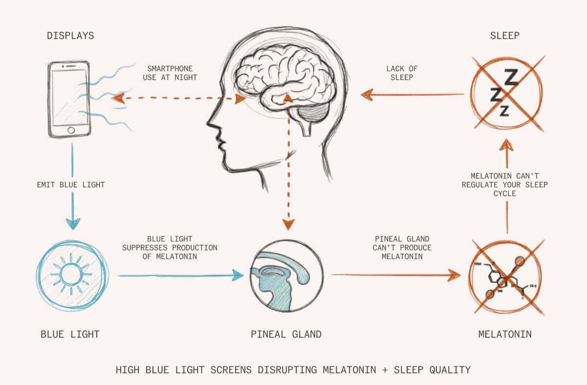 Blue light and the pineal gland