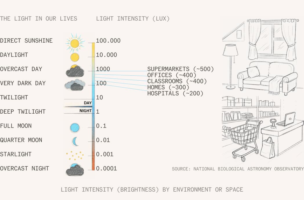 The light in our lives